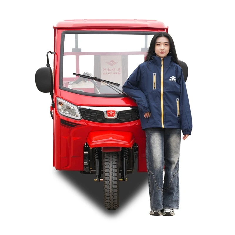 Cargo-friendly Easy-clean Low Maintenance Transport Trike