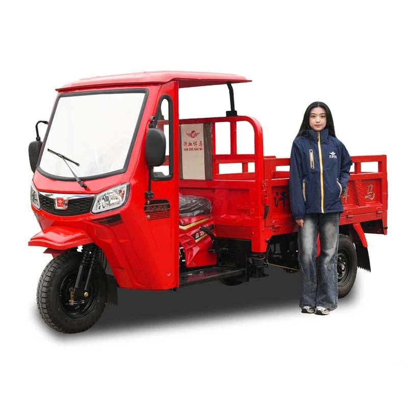 Narrow-path Durable Low Maintenance Transport Trike