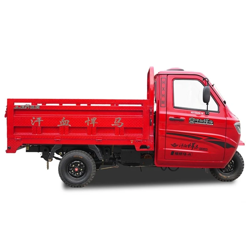 Cargo 3 wheel motor for adult