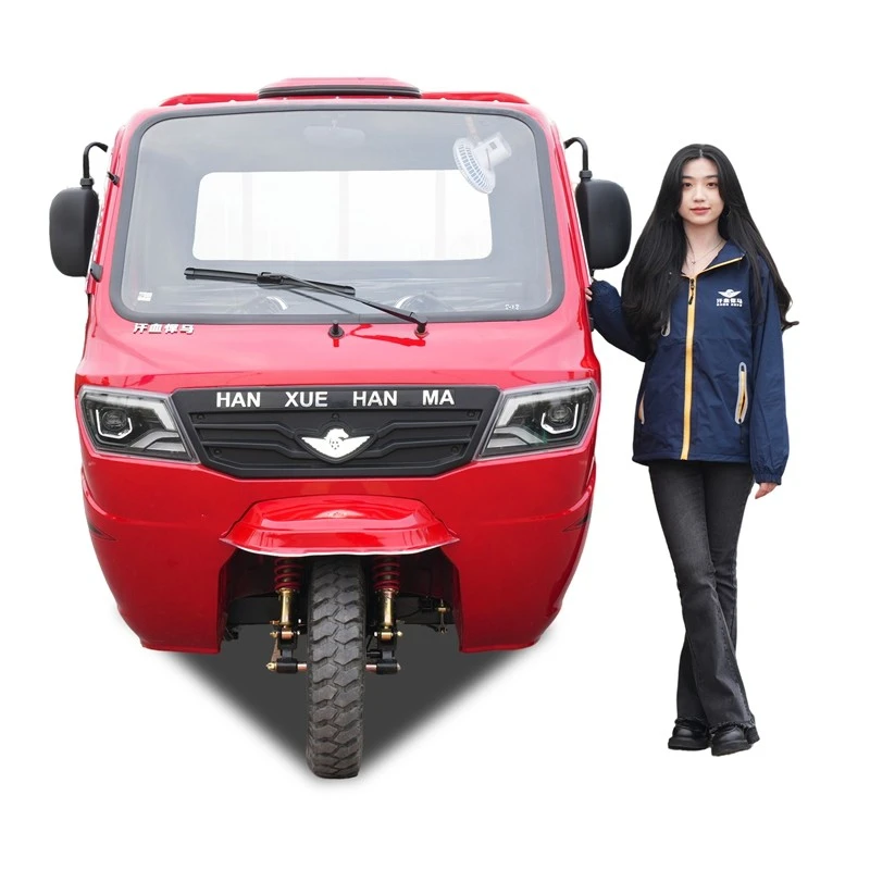 Cargo Box Motorized Tricycle