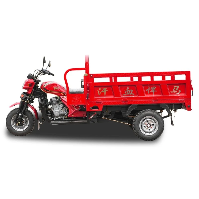 Multi-axle 3 Wheel Cargo Motorcycle