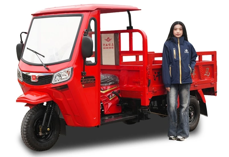 Narrow-path Durable Low Maintenance Transport Trike - Narrow-path Durable Low Maintenance Transport Trike -