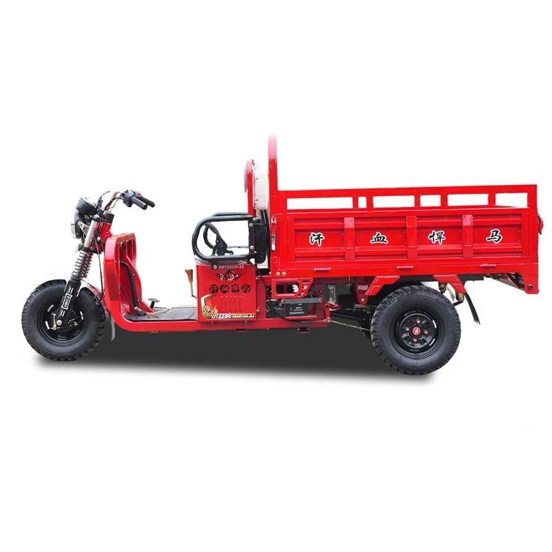 Anti-shock Cargo-protection 3 Wheeler Loading Auto